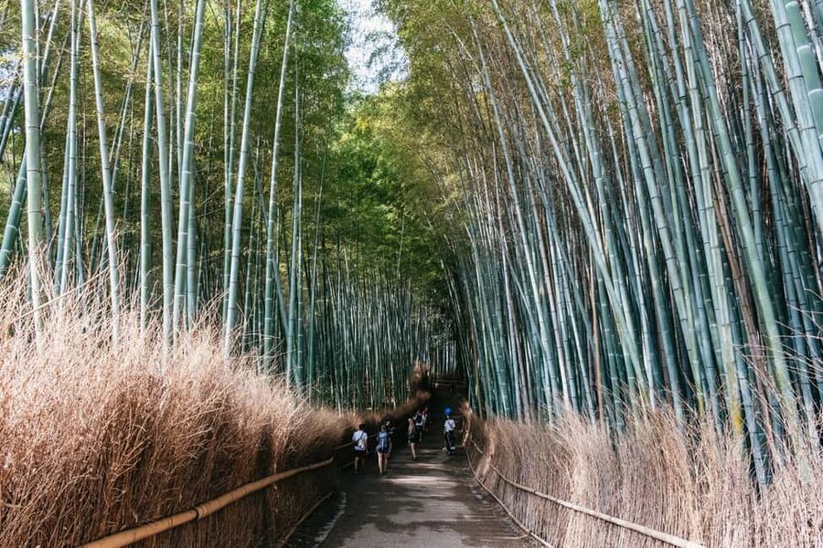 Kyoto: Nijo Castle, Kiyomizu & Fushimi Inari Guided Tour - Kinkaku-ji and the Golden Pavilion Option