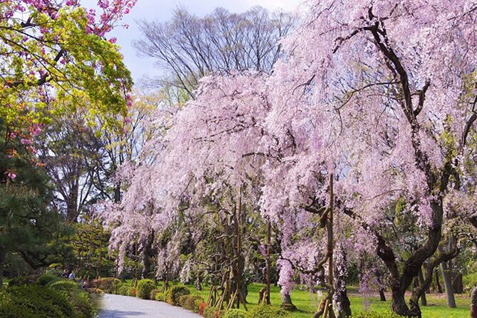 Kyoto: Nijo Castle World Heritage Guided Tour with Admission - The Stories: Shogun and Emperor Rivalry Makes the Rooms Click