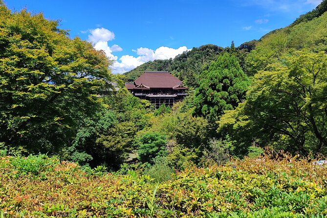 Kyoto Off The Beaten Path: Hidden Zen Garden & Magical Shrine - How the 4-hour timing works (and why it feels worth it)