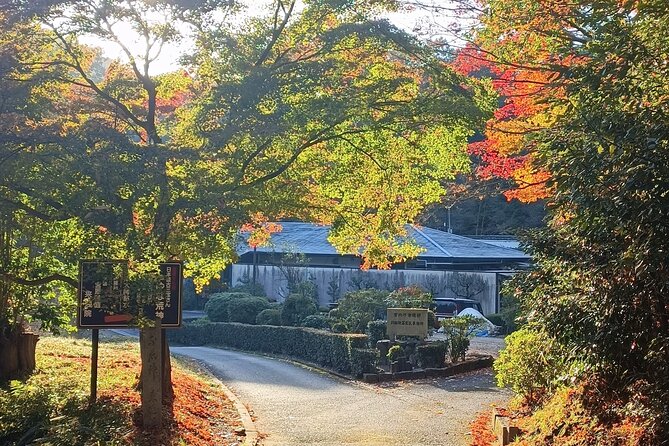 Kyoto Off The Beaten Path: Hidden Zen Garden & Magical Shrine - Price and value: what the $97.55 covers, and what to budget