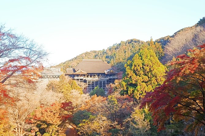 Kyoto Off The Beaten Path: Hidden Zen Garden & Magical Shrine - Who this tour fits (and who should skip it)