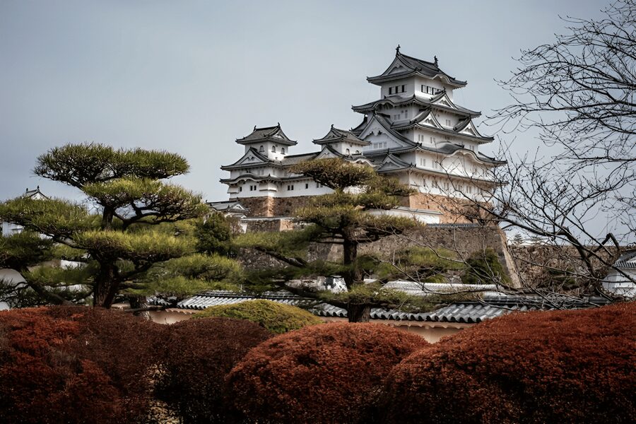 Kyoto/Osaka: Kobe & Himeji Journey Through Culture & History - Who Should Book, and Who Might Prefer a DIY Plan