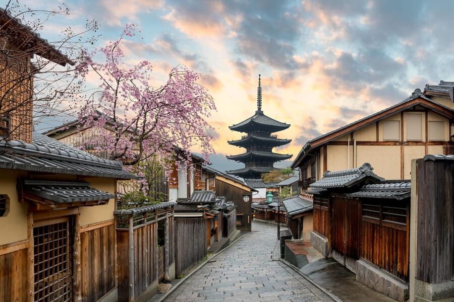Kyoto/Osaka: Kyoto and Nara Customized Private Guided Tour - A car day is the smart move for Kyoto and Nara