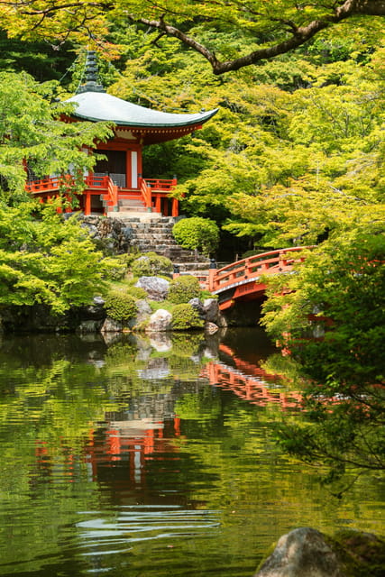Kyoto/Osaka: Kyoto and Nara Customized Private Guided Tour - Fushimi Inari’s torii tunnel: where photos become paths