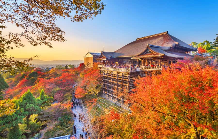 Kyoto/Osaka: Kyoto and Nara World Heritage Day Tour - Meeting Point, Bus Ride, and the Osaka-Only Drop-Off