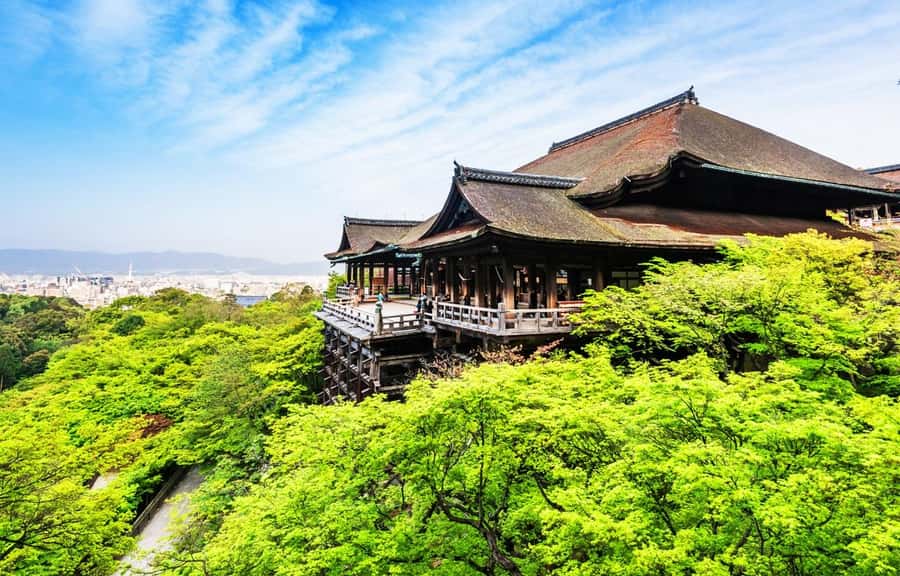 Kyoto/Osaka: Kyoto and Nara World Heritage Day Tour - Fushimi Inari Taisha: The Red Torii Walk That People Remember