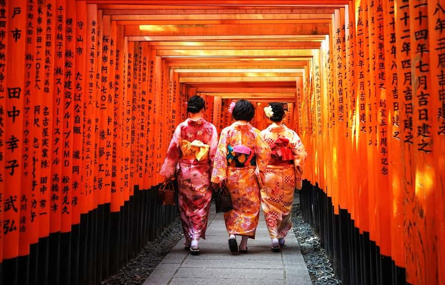 Kyoto/Osaka: Kyoto and Nara World Heritage Day Tour - Nara Park and the Deer Routine: Fun, But Use Common Sense