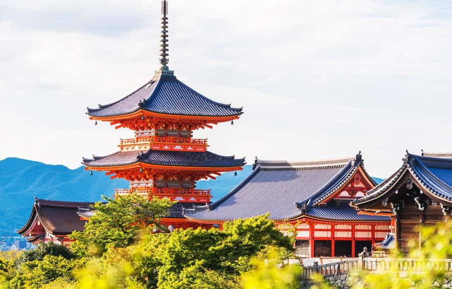 Kyoto/Osaka: Kyoto and Nara World Heritage Day Tour - Todaiji Temple: The Scale Moment (Entry Depends on Your Choice)