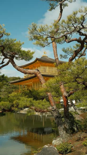 Kyoto/Osaka: Kyoto&Nara Customized Private Highlights Tour - Kinkaku-ji (Golden Pavilion): Timing for Reflection Shots