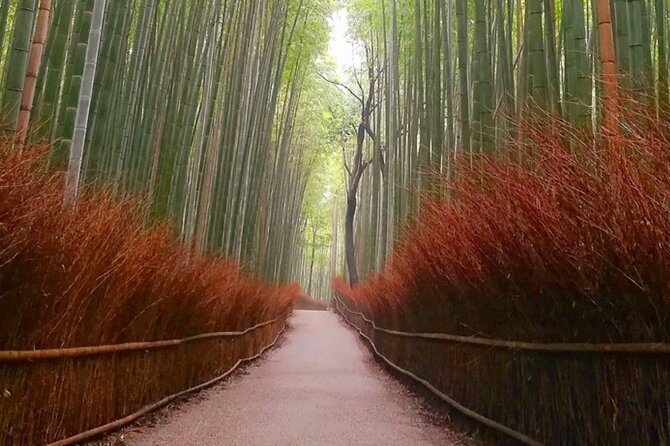Kyoto, Osaka, Nara Full Day tour by Car English speaking Driver - Kyoto’s imperial and castle stops: history with room to breathe