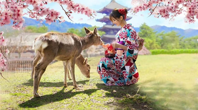 Kyoto/Osaka: Nara, Fushimi Inari Taisha, Arashiyama Bus Tour - Nara Park and the Deer That Ignore Your Personal Space