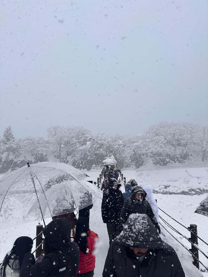 Kyoto/Osaka/Nara Private Customized Tour with Guide - Nara Park Deer Encounters and Todai-ji’s Great Buddha