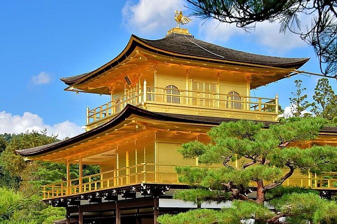 Kyoto, Osaka, Nara Private Tour by Car English Driver Guide - Osaka Route: Castles, Dotonbori, Shitennoji, and Views