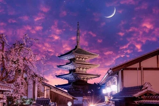 Kyoto, Osaka, Nara Private Tour by Car English Driver Guide - How a 10-Hour Day Actually Feels in Kyoto/Osaka/Nara