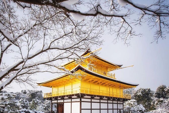 Kyoto, Osaka, Nara Private Tour by Car English Driver Guide - Price and Value: Why $660 Per Group Can Make Sense