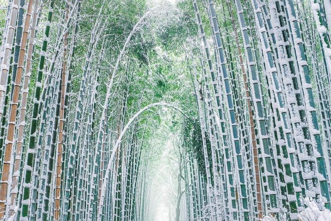 Kyoto, Osaka, Nara Private Tour by Car English Driver Guide - Extra Practical Tips to Use the Day Well