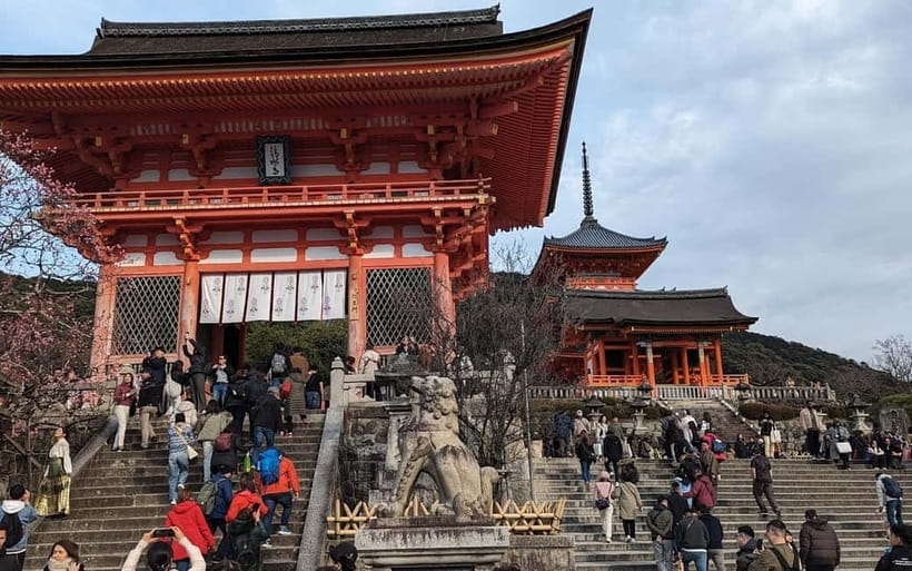 Kyoto: Personalize, private tour (3h, 5h, 8h) [W/Car Option] - Key highlights to know before you go