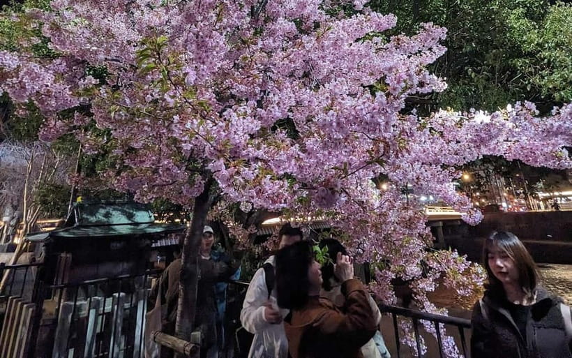 Kyoto: Personalize, private tour (3h, 5h, 8h) [W/Car Option] - What to wear and bring for a Kyoto walking day