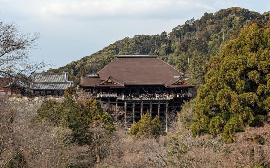 Kyoto: Personalize, private tour (3h, 5h, 8h) [W/Car Option] - Who this private Kyoto tour is best for