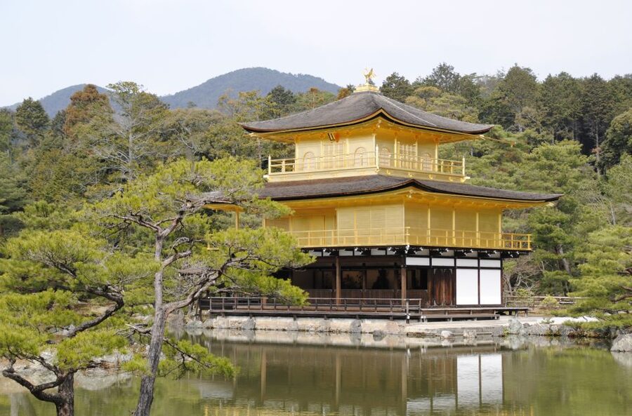 Kyoto: Personalized Guided Private Tour - Choosing what you want your guide to focus on