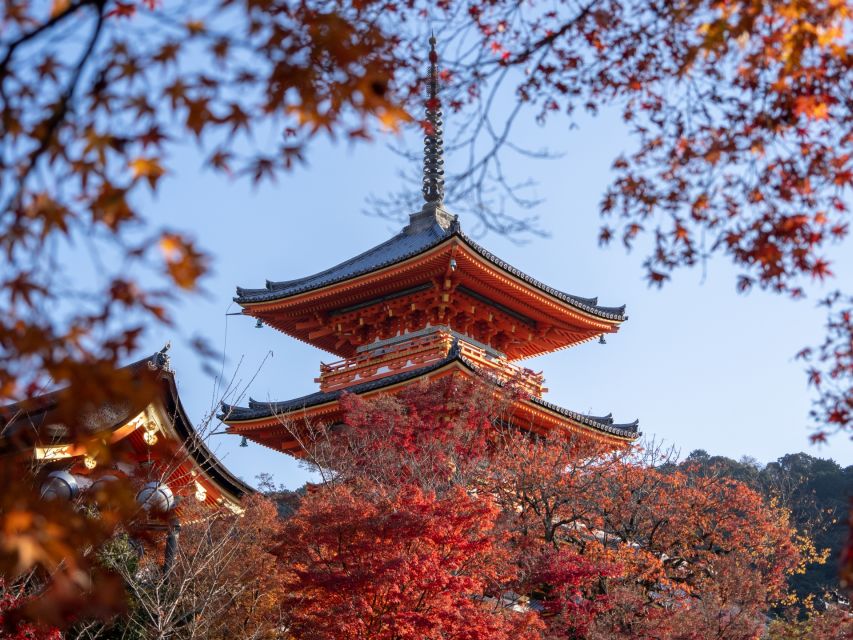 Kyoto: Personalized Guided Private Tour - How the 6-hour private format works in Kyoto