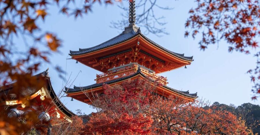 Kyoto: Personalized Guided Private Tour - Golden Pavilion timing: the best version of an iconic stop