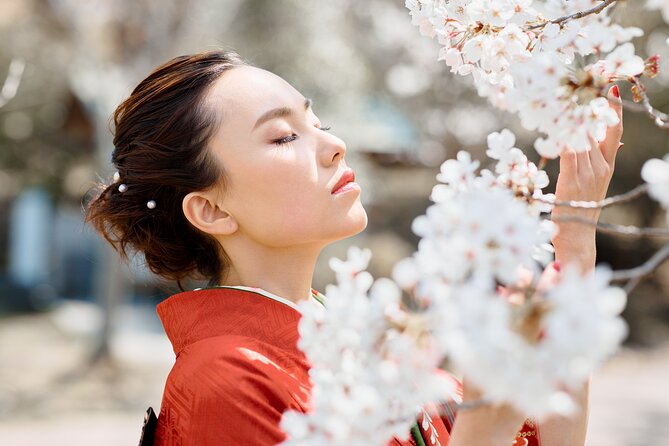 Kyoto Photography Tour - Props and Kimono Options (and What Costs Extra)