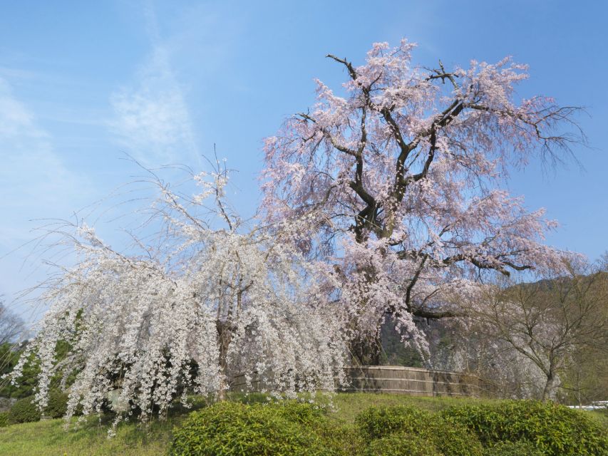Kyoto: Private 2.5 Hour Historical Walking Tour - Yasaka Kōshin-dō and the Five-Storied Pagoda Photo Moment