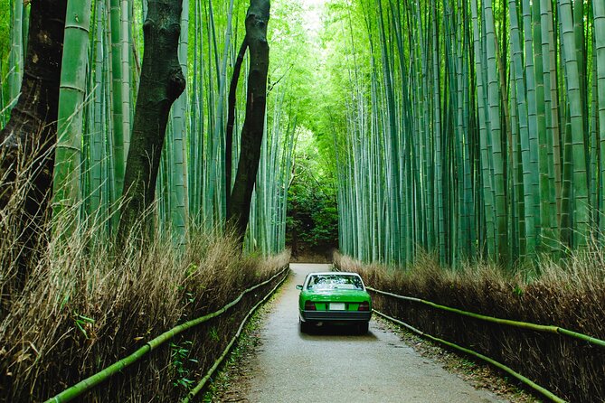 Kyoto Private 6 hour Tour: English Speaking Driver Only, No Guide - Key things that make this Kyoto private tour work