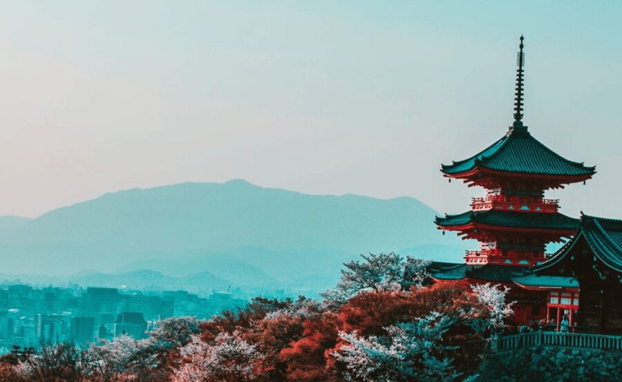 Kyoto : Private Custom Walking Tour With A Local Guide - Picking your sights: customizable days that match your energy