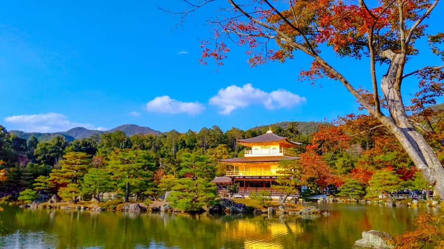 Kyoto: Private Customizable Day Trip by Car - Private car logistics: what you gain (and what you give up)
