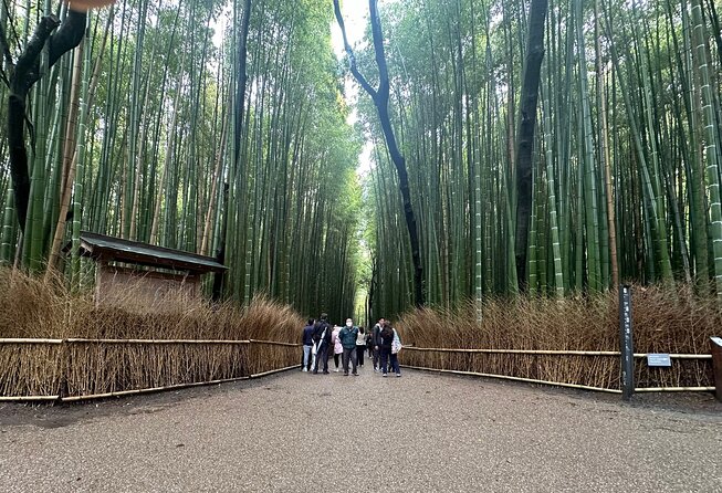 Kyoto Private Customizable Day Trip With English chauffeur - Key things I’d bank on before you book