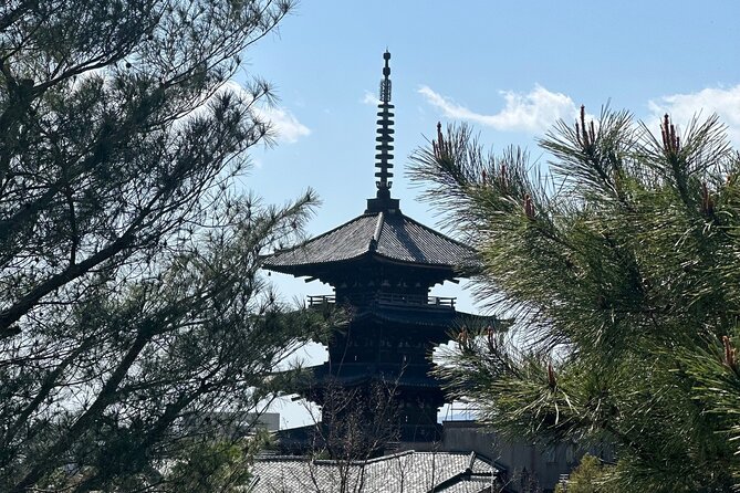 Kyoto Private Customizable Day Trip With English chauffeur - Why this private Kyoto day works better than transit