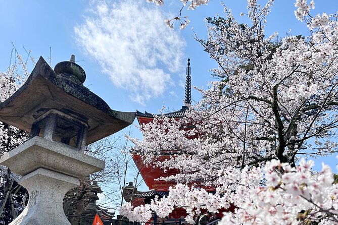 Kyoto Private Customizable Day Trip With English chauffeur - Golden Pavilion (Kinkaku-ji) and Kyoto Imperial Palace: big names, tight timing
