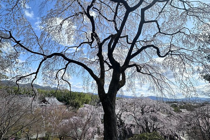 Kyoto Private Customizable Day Trip With English chauffeur - Fushimi Inari Taisha: torii gates and a longer feel than you expect