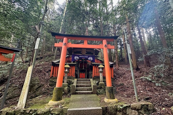 Kyoto Private Customizable Day Trip With English chauffeur - The 8:00 am start: how pacing feels with an 8–10 hour day