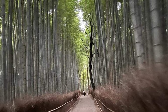 Kyoto Private Customizable Sightseeing Tour by Car-up to 9 people - Kinkakuji (Golden Pavilion) in a short, focused slot