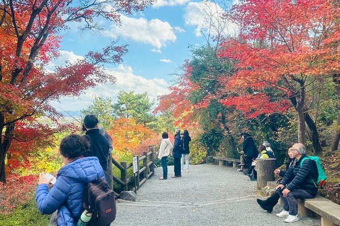 Kyoto Private & Customizable Tour with English-Speaking Driver - A Private Kyoto Day That Moves at Your Pace