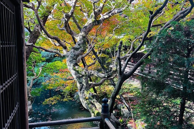Kyoto Private & Customizable Tour with English-Speaking Driver - Price and Logistics: What You’re Really Paying For