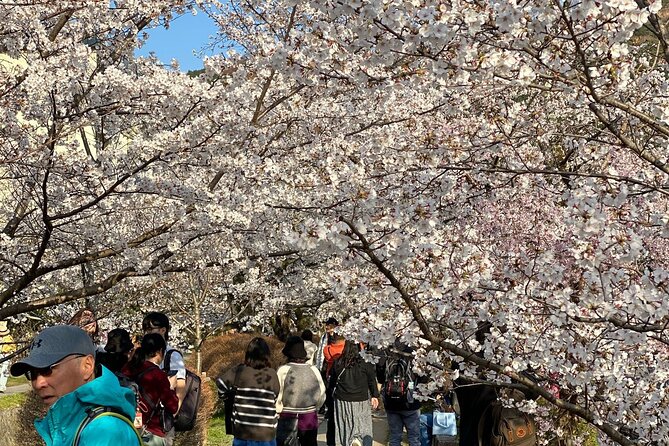 Kyoto Private & Customizable Tour with English-Speaking Driver - Stop 2: Kinkakuji Temple and Its Gold-Leaf Look