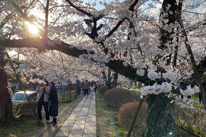 Kyoto Private & Customizable Tour with English-Speaking Driver - Stop 5: Kiyomizu-dera With Views and the Otowa Waterfall