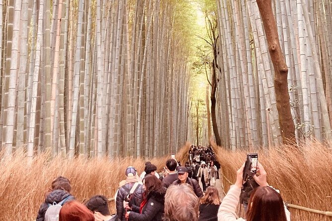 Kyoto Private & Customizable Tour with English-Speaking Driver - The 8–10 Hour Plan: How the Day Flows