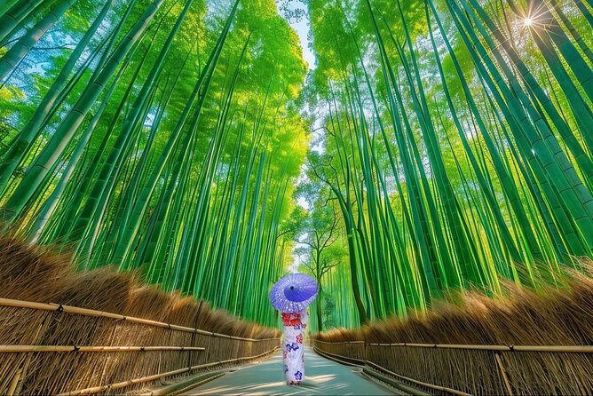 Kyoto Private Customized Day Tour with Guide - Key Highlights That Make This Kyoto Day Tour Worth It