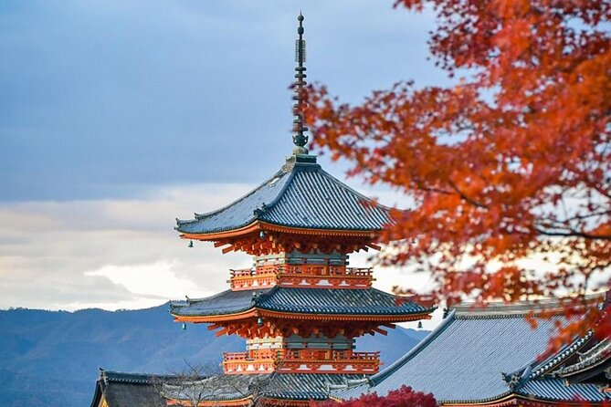 Kyoto Private Customized Day Tour with Guide - Kinkaku-ji Golden Pavilion: 40 Minutes of Gold Leaf Reality