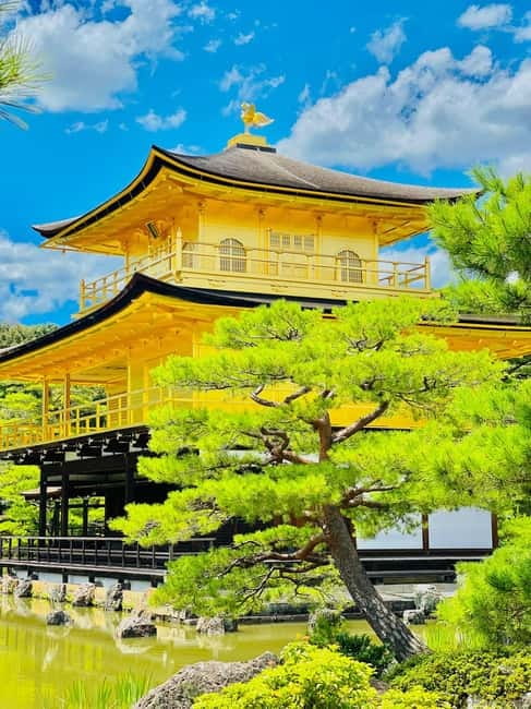 Kyoto: Private Customized Tour With English Speaking Guide - Arashiyama Bamboo Grove and Tenryu-ji: time for height and motion