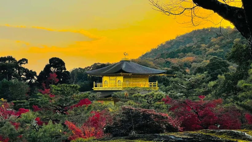 Kyoto: Private Customized Tour With English Speaking Guide - Togetsukyo Bridge views: turn a stop into a wide-angle story