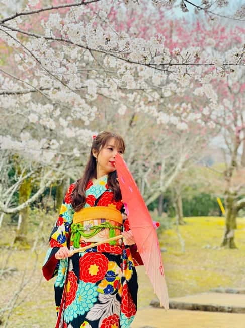 Kyoto: Private Customized Tour With English Speaking Guide - Monkey Park: a longer walk break with big payoffs