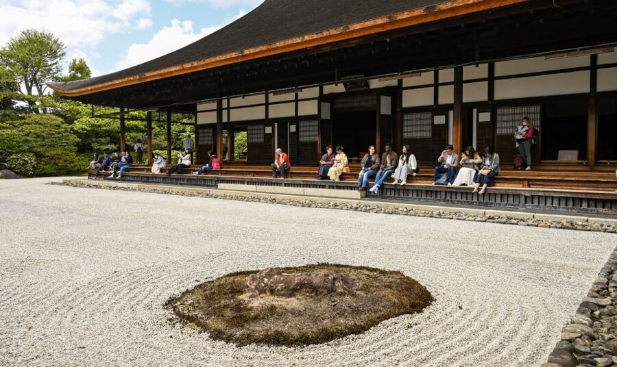 Kyoto: Private Customized Walking Tour with a Local Insider - Should You Book This Kyoto Private Customized Walking Tour?