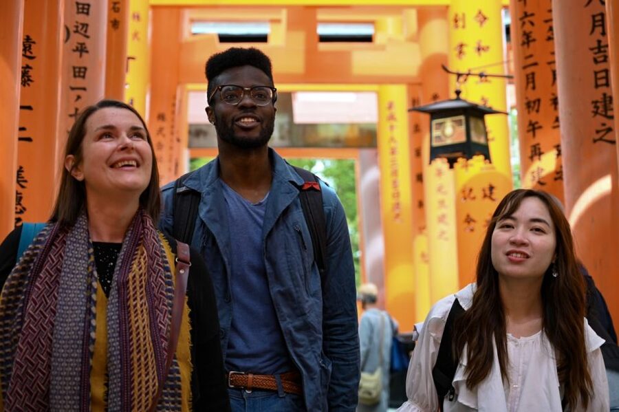 Kyoto: Private Customized Walking Tour with a Local Insider - Who This Tour Suits Best (and When Another Option Might Fit Better)