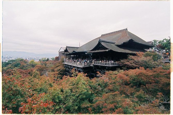 Kyoto Private Day Tour with English-Speaking Driver from Kyoto - Arashiyama Bamboo Forest: Calm Views With Crowd Pressure
